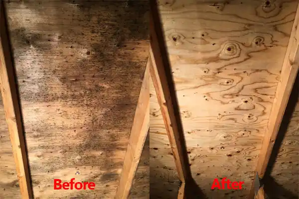 water damage restoration service Clifton